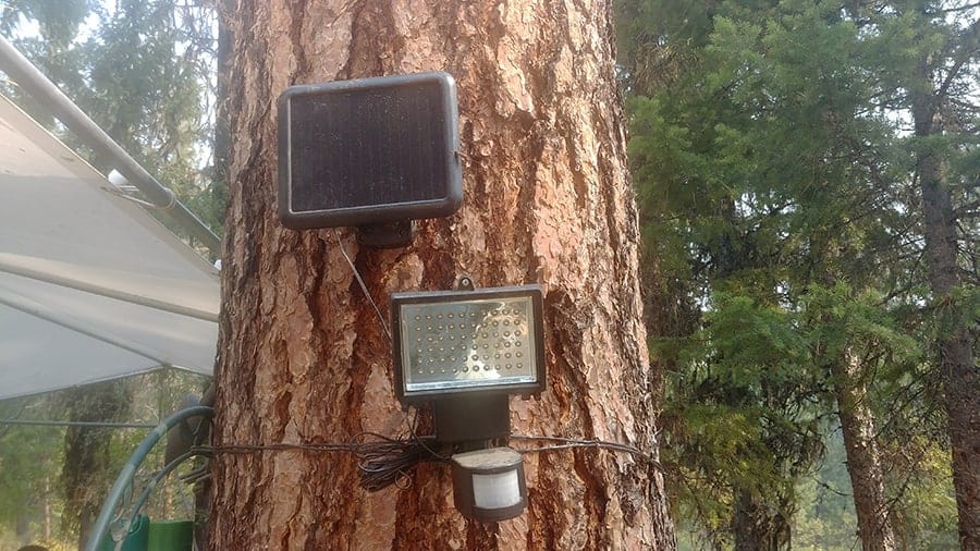 Outdoor Solar Lights For Getting Around, Can You Put Solar Lights In Trees