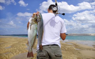 california fishing license CA fishing License how much is a fishing license in california?
