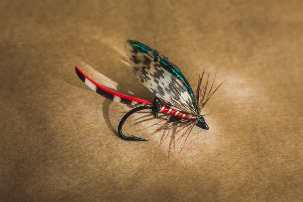 What Is a Fly Fishing Leader? Outdoor Troop