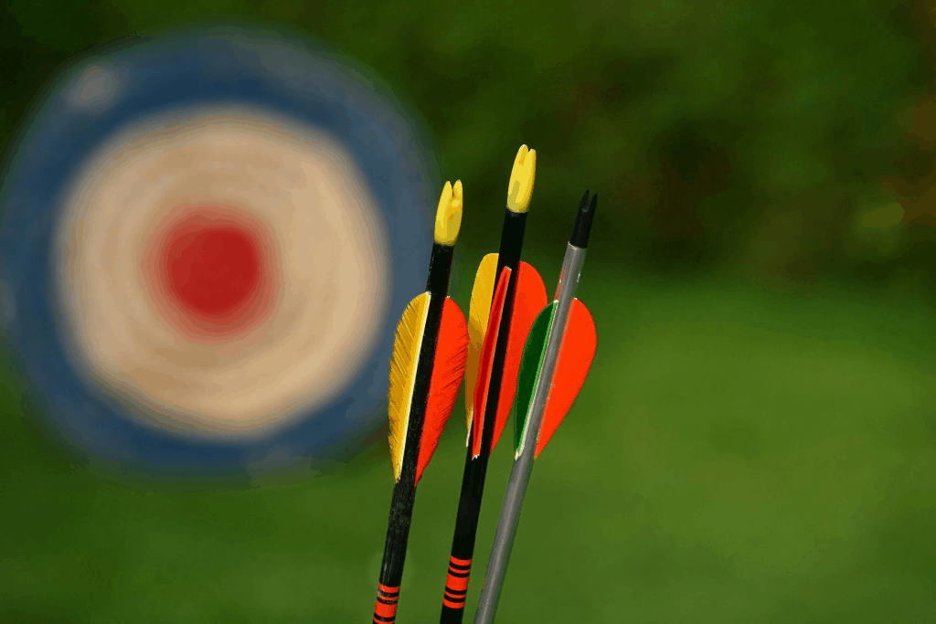 12pcs Archery Practice Target Arrow Fletched 3 Vanes for Compound & Recurve Bow PG1ARCHERY 31 Inch Fiberglass Arrows 