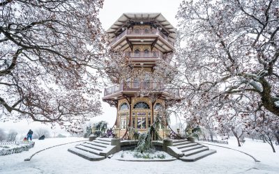 11 Perfect Sledding Spots Near Baltimore