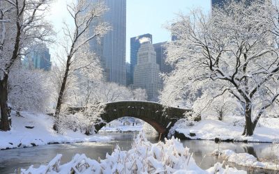 sledding spots in New York City where to go sledding in New York