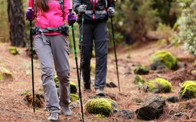 How To Keep Yourself Safe During An Outdoor Hike  