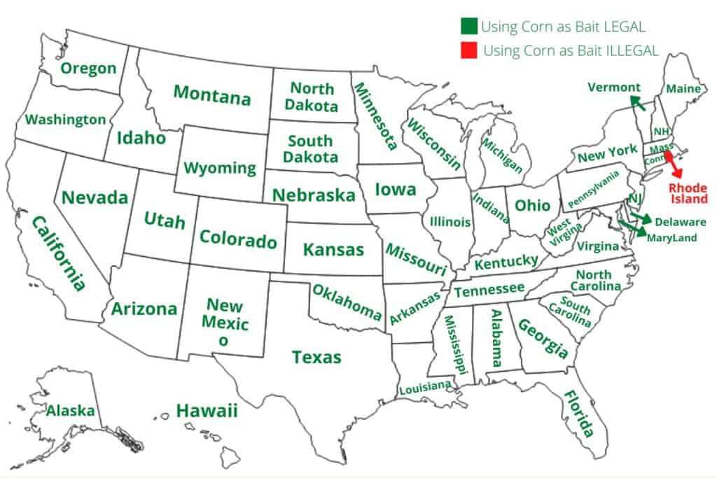 All 50 States of the United States showing which states it is legal and illegal to use corn as bait.