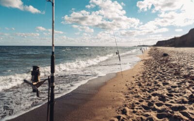 The Top 7 Surf Fishing Tips