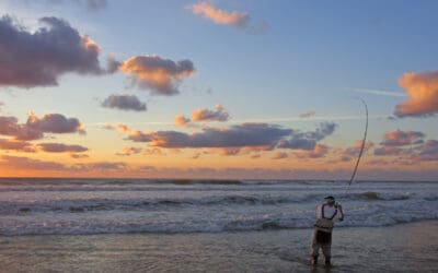 What Gear Do I Need for Surf Fishing?