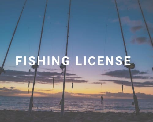 Fishing License Category