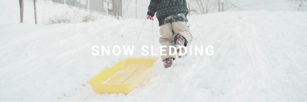 snow sledding category